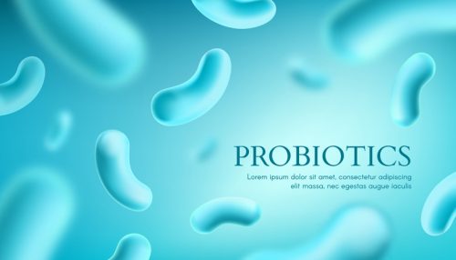 Probiotic